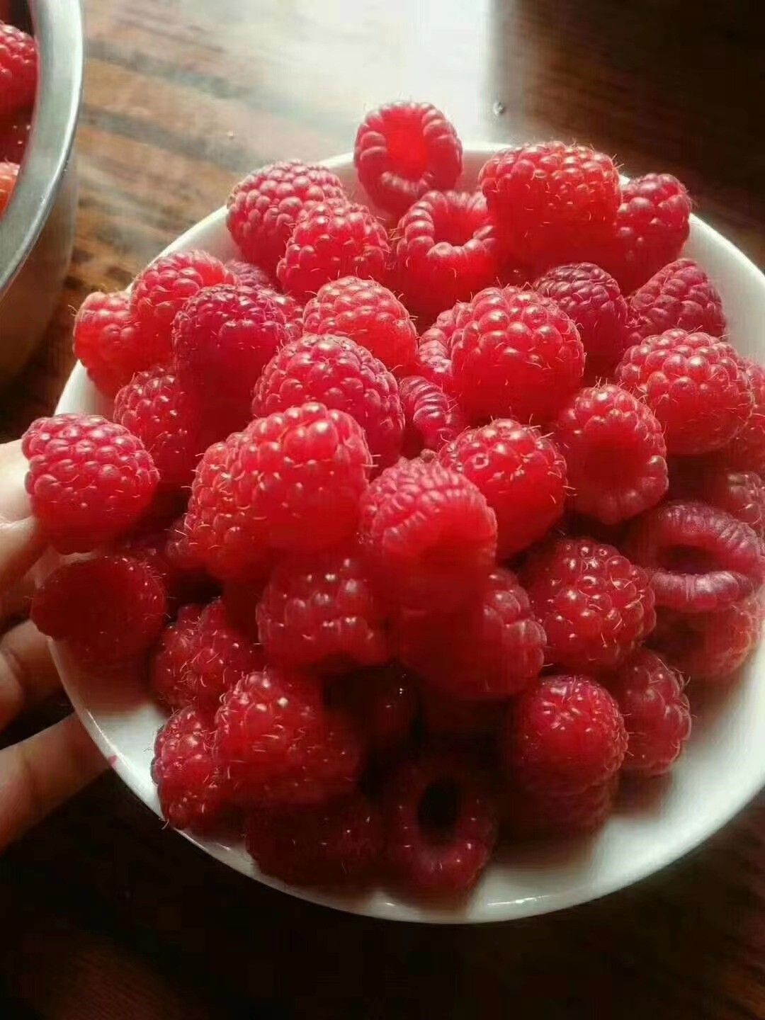 Red Raspberry